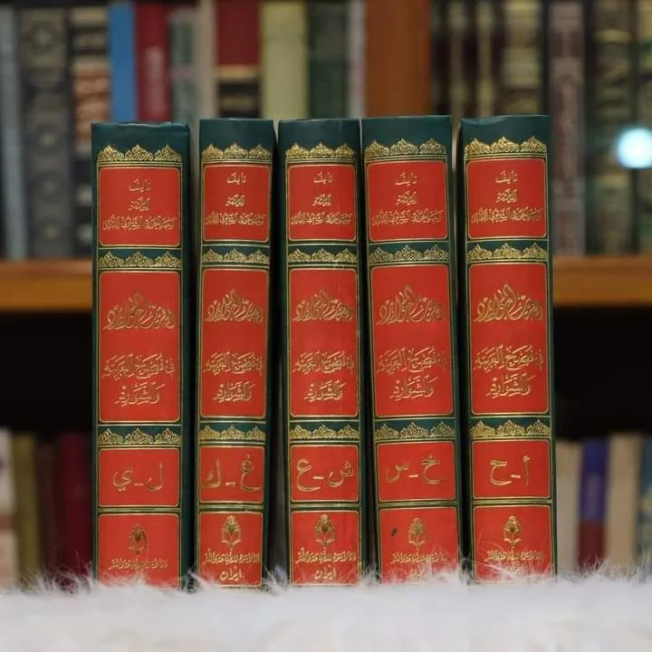صورة النسخة 1 من 1
