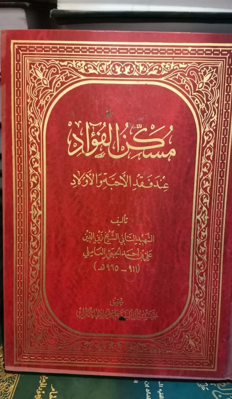 صورة النسخة 1 من 1