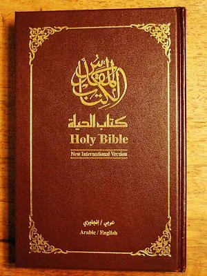 صورة النسخة 1 من 1