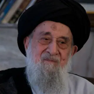 السيد رضي الشيرازي