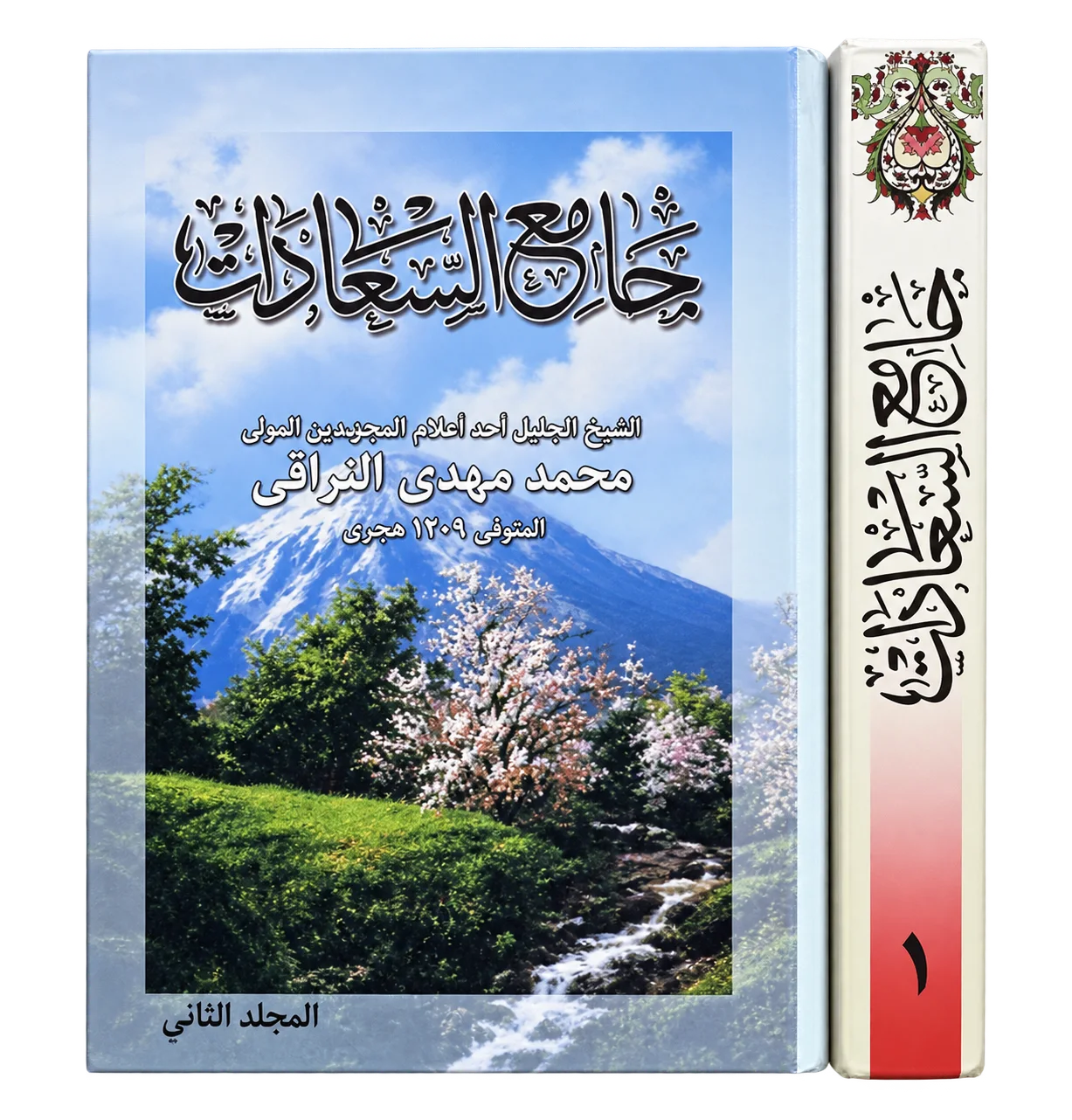 صورة النسخة 1 من 1