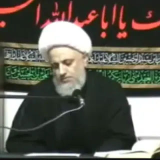 محمد جميل حمود العاملي