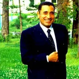 محمد حسنين هيكل
