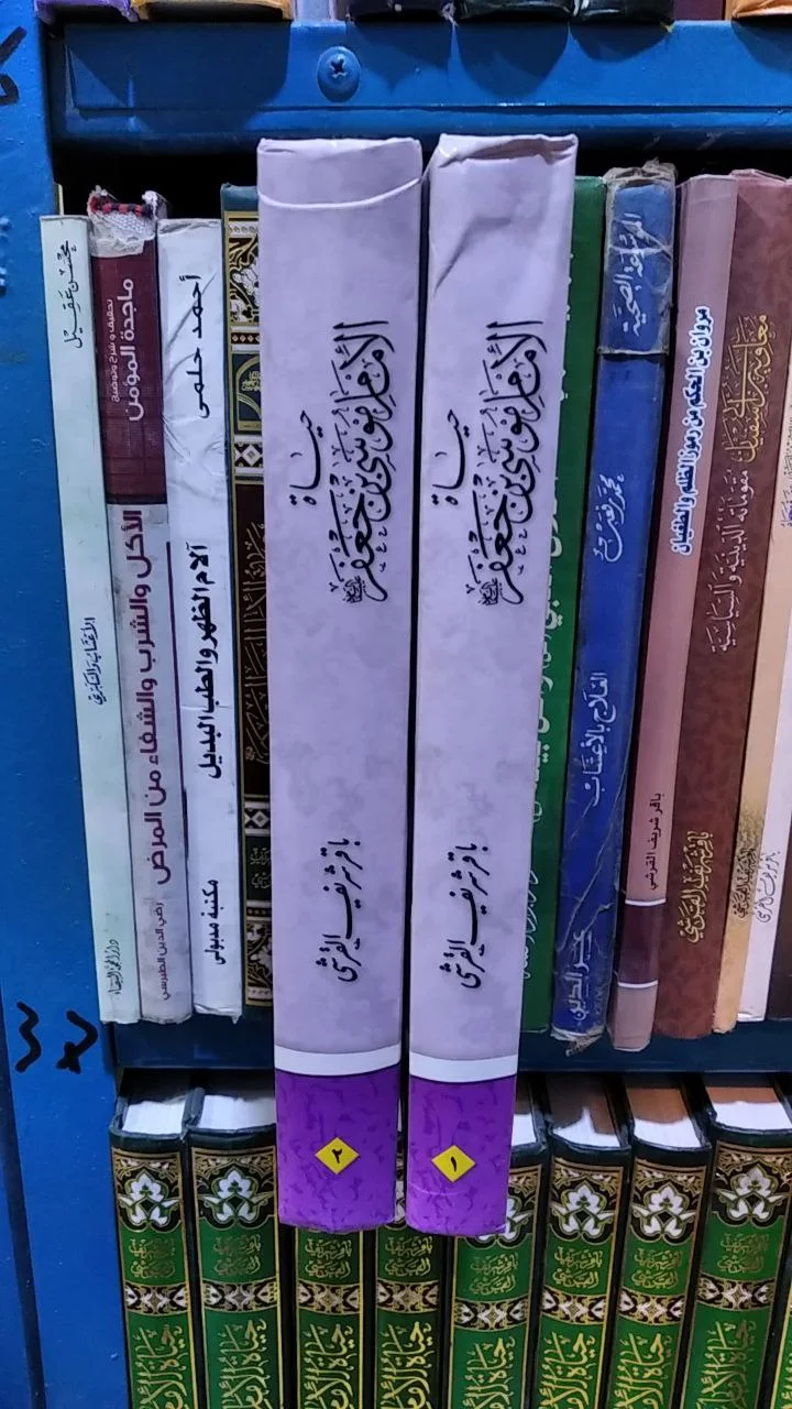 صورة النسخة 1 من 1