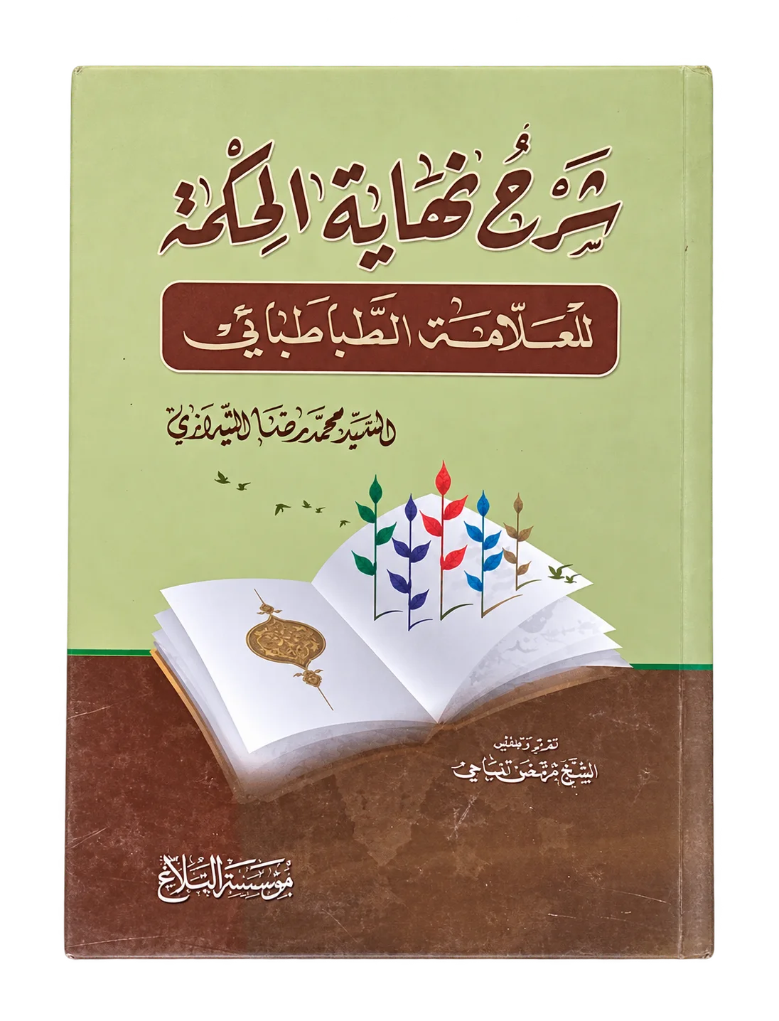 صورة النسخة 1 من 1
