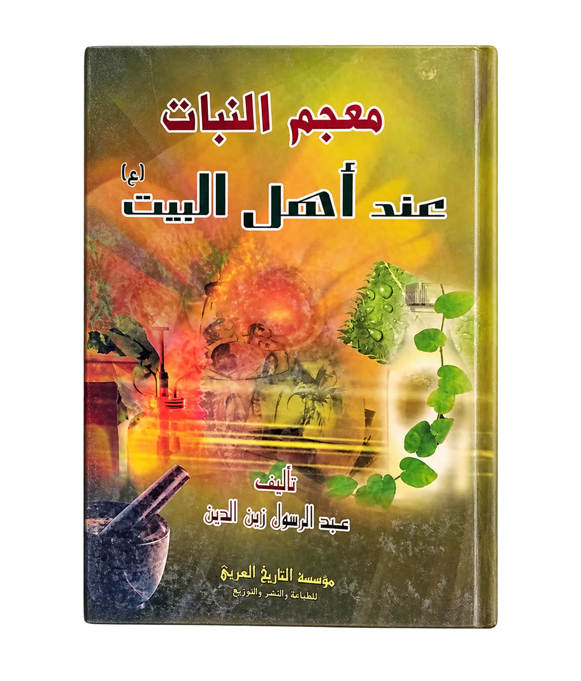 صورة النسخة 1 من 1