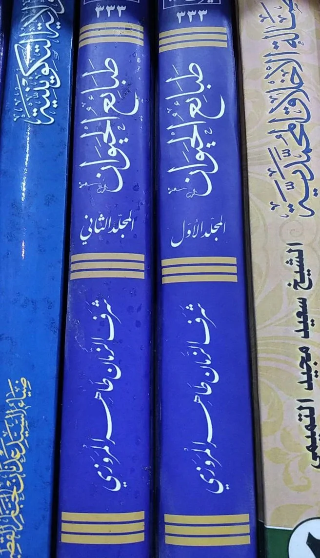 صورة النسخة 1 من 1