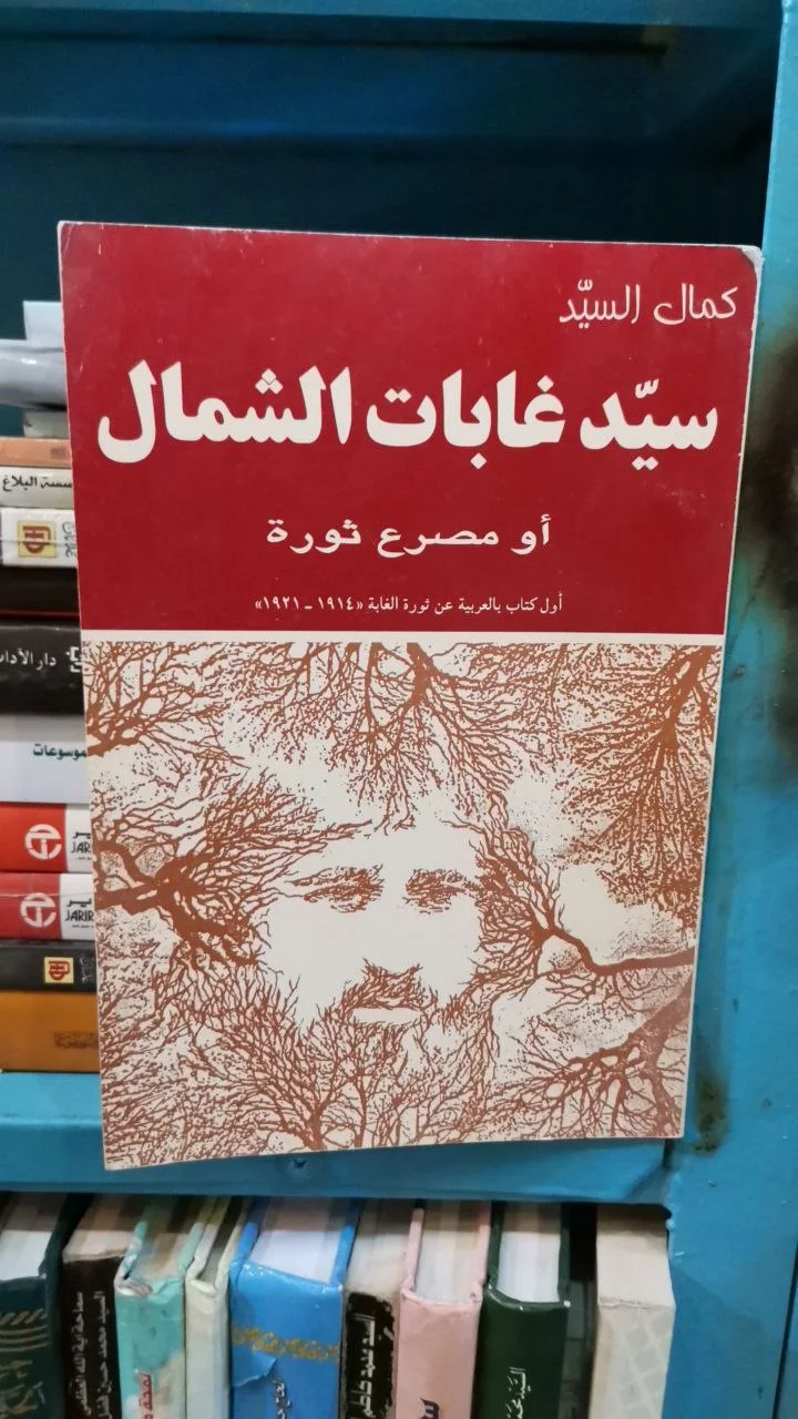 صورة النسخة 1 من 1