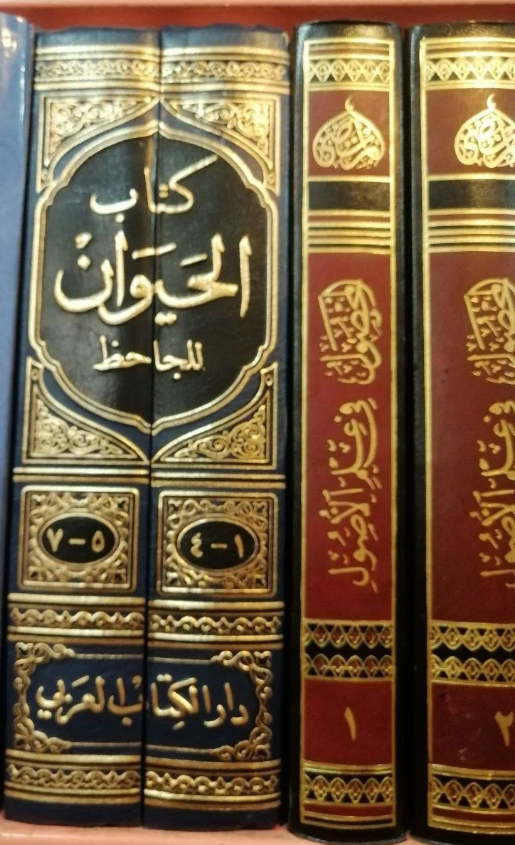 صورة النسخة 1 من 1