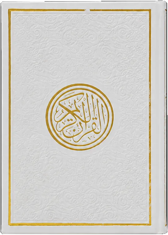 صورة النسخة 1 من 1