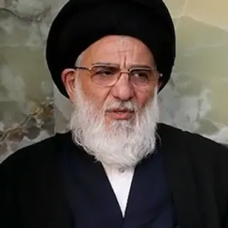 السيد محمود الهاشمي الشاهرودي