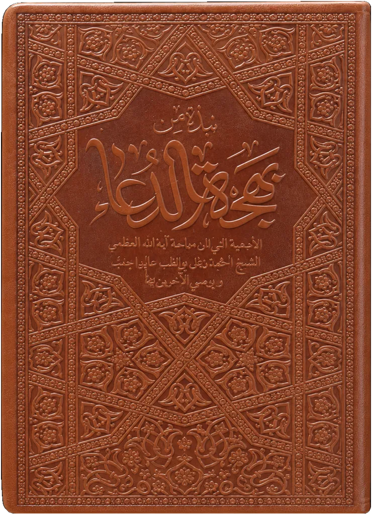 صورة النسخة 1 من 1